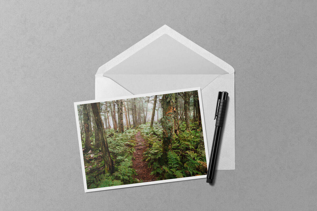 Misty Martha's Mile Trail notecard mockup