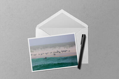 Notecard preview