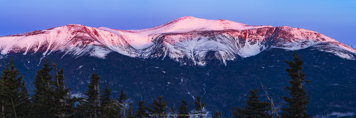 A panoramic morning alpenglow photograph of snow-covered Mount Washington and Tuckerman Ravine glowing in shades of pink and red against a deep blue pre-dawn sky, with the broad glacial bowl of Tuckerman Ravine clearly visible on the mountain's face, dark evergreen trees silhouetted in the foreground, and a small structure visible on the distant summit.
