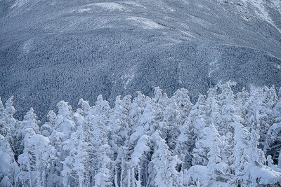 A wintry mountain vista showing Mount Lafayette's snow-covered summit rising above a foreground of frost-laden evergreen trees, photographed from Cannon Mountain under dramatic gray skies.
