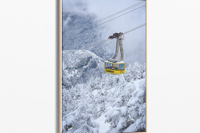 Framed canvas preview