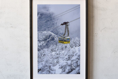 Framed print preview