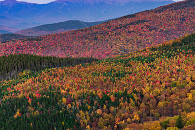 This landscape photograph captures a sweeping view of New Hampshire's White Mountains during peak fall foliage season, with layers of mountains extending from foreground to background creating a stunning display of autumn colors. The closest slopes are covered in a patchwork of golden yellows, vibrant reds, and oranges, punctuated by dark green evergreens, while the distant Presidential Range rises in misty blue-purple hues against a pastel sky touched with pink and lavender clouds. The composition draws the eye naturally from the detailed autumn foliage in the foreground through successive mountain ridges to the highest peaks, emphasizing both the grand scale of the landscape and the rich diversity of New England's fall colors.