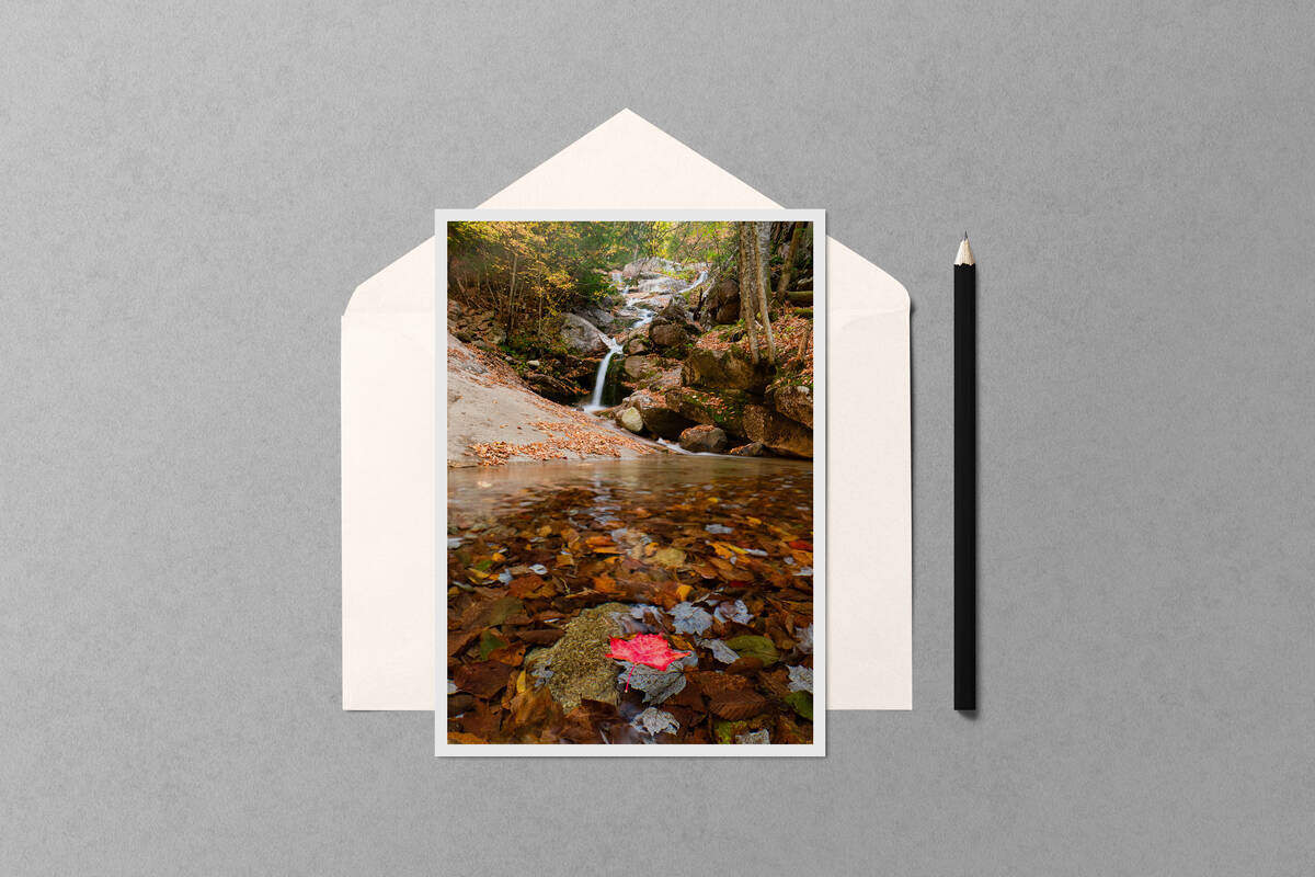 Red Maple Leaf at Swiftwater Falls notecard mockup