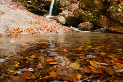 A cascading waterfall flows over moss-covered rocks through an autumn forest, with a vibrant red maple leaf resting on a rock in the foreground pool surrounded by fallen brown and orange leaves beneath the water's surface.