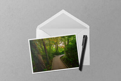 Notecard preview