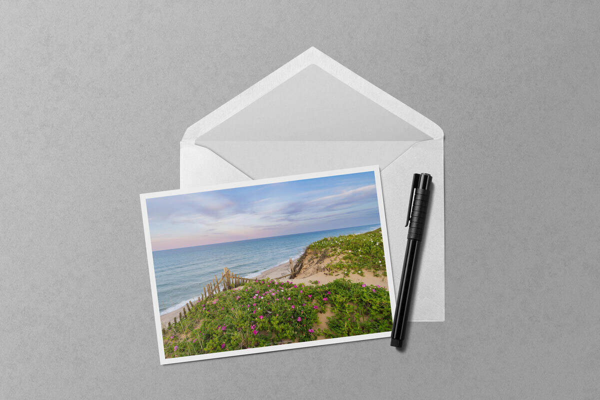 Rosa Rugosa at Sunset notecard mockup