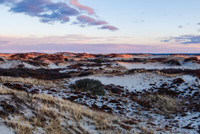 A panorama photo of sunset over the expansive sand dunes of Sandy Neck Beach Park