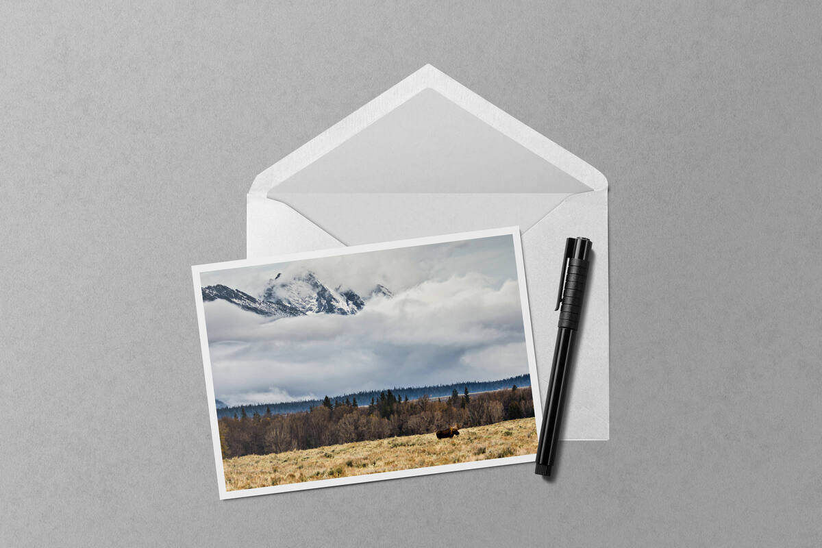 Sentinel notecard mockup