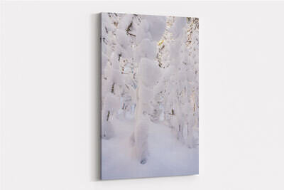 Canvas preview
