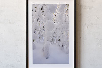 Framed print preview