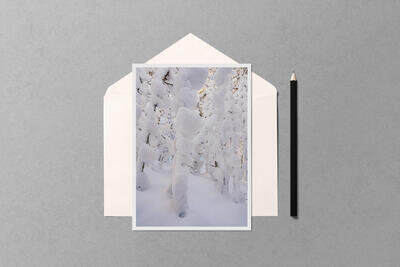 Notecard preview