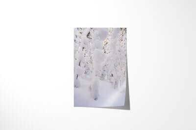 Fine art print preview