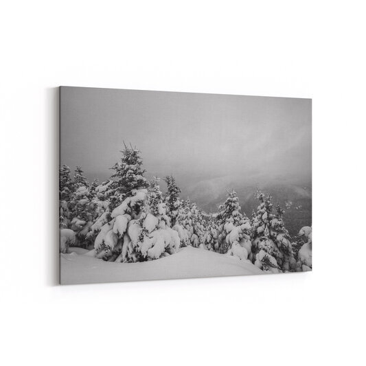 A black and white photograph taken from the summit of Mount Avalon in Crawford Notch shows snow-laden evergreen trees in the foreground with a misty, forested valley visible below through low clouds.