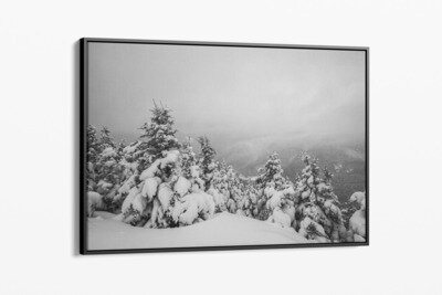 Framed canvas preview