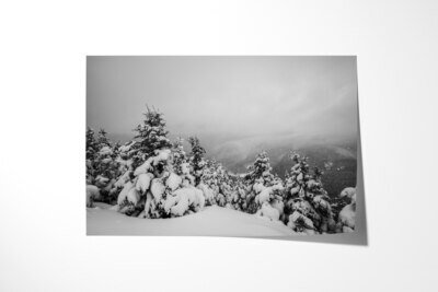 Fine art print preview