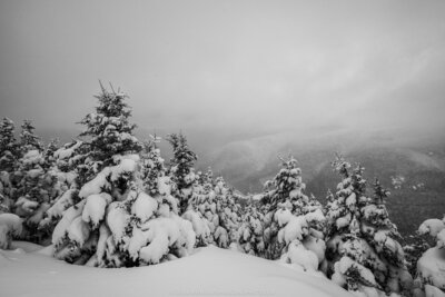 A black and white photograph taken from the summit of Mount Avalon in Crawford Notch shows snow-laden evergreen trees in the foreground with a misty, forested valley visible below through low clouds.