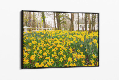 Framed canvas preview