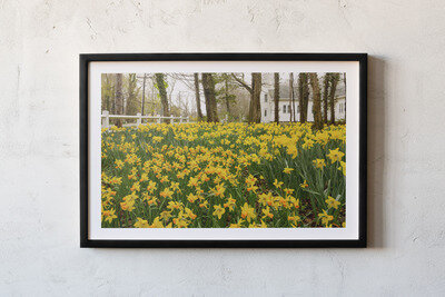 Framed print preview