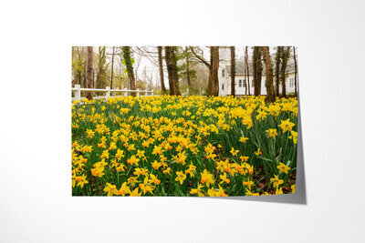 Fine art print preview