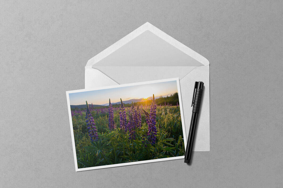 Sugar Hill Lupine Glitter notecard mockup