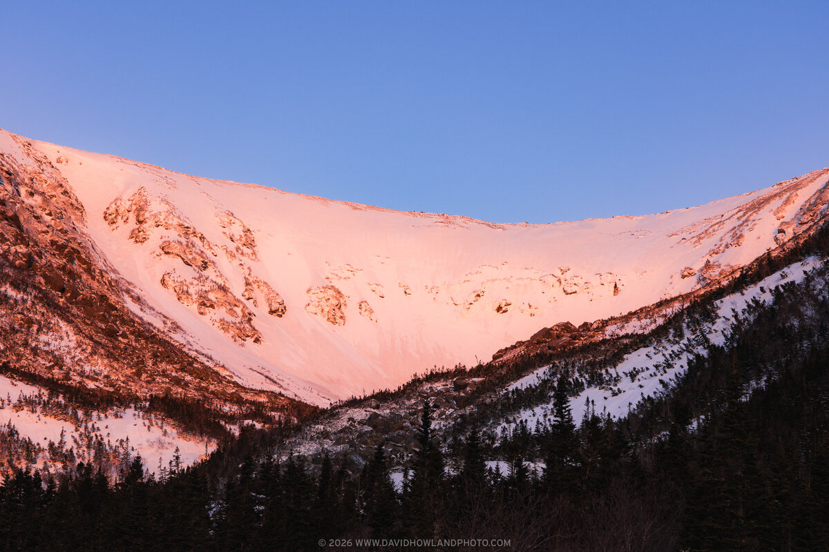 A snow-covered mountain bowl in Tuckerman Ravine glows pink and orange from sunrise alpenglow against a clear blue sky, with dark evergreen forest silhouetted in the foreground and rocky outcrops visible through the snow on the steep surrounding slopes.