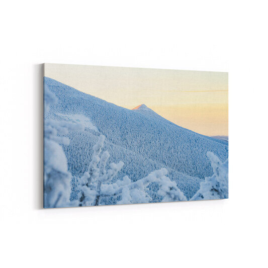 Mount Liberty's peak glows with warm golden alpenglow at sunrise above a snow-covered mountainside blanketed with frost-laden evergreen trees under a pale yellow winter sky.