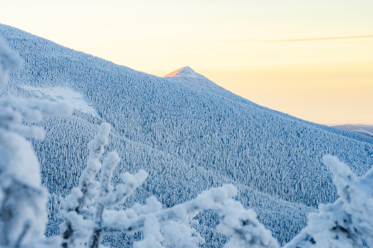 Mount Liberty's peak glows with warm golden alpenglow at sunrise above a snow-covered mountainside blanketed with frost-laden evergreen trees under a pale yellow winter sky.