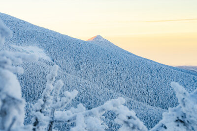 Mount Liberty's peak glows with warm golden alpenglow at sunrise above a snow-covered mountainside blanketed with frost-laden evergreen trees under a pale yellow winter sky.