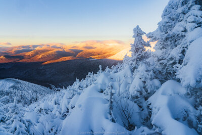 Snow-covered evergreen trees frame a winter mountain vista where golden sunrise light illuminates distant peaks while the foreground remains in blue-tinted shadow.