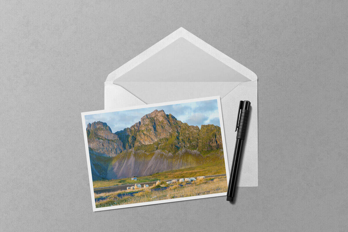 Sunset Sheep at Eystrahorn notecard mockup