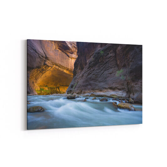 A narrow slot canyon in Zion National Park with towering striated sandstone walls in warm golden and cool purple tones rising on both sides of a rushing river with smooth, milky water flowing over rounded rocks in the foreground.