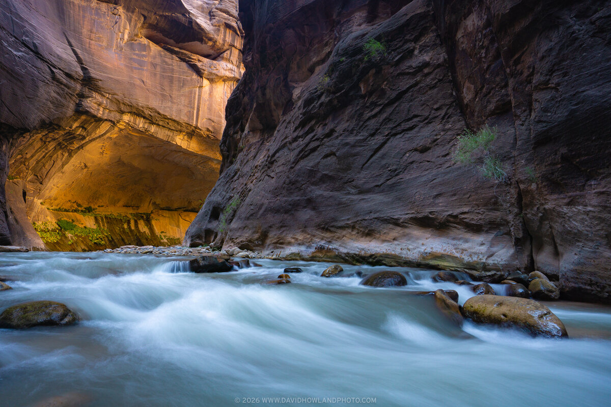 A narrow slot canyon in Zion National Park with towering striated sandstone walls in warm golden and cool purple tones rising on both sides of a rushing river with smooth, milky water flowing over rounded rocks in the foreground.