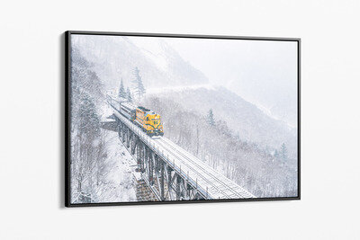 Framed canvas preview