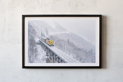 Framed print preview