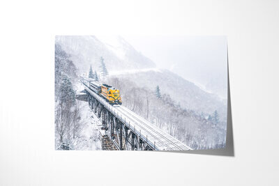 Fine art print preview