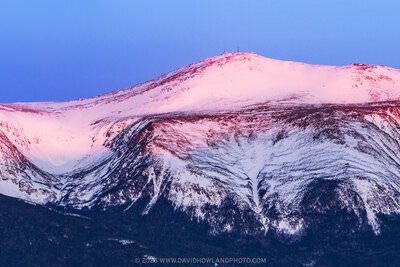 A panoramic sunrise photograph of snow-covered Mount Washington, with Tuckerman and Huntington Ravines visible as dramatic bowl-shaped glacial cirques on the mountain's face, bathed in warm pink and red alpenglow light against a deep blue pre-dawn sky, with small structures visible on the summit and dark evergreen forest in the foreground.
