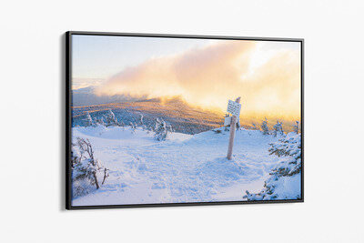 Framed canvas preview