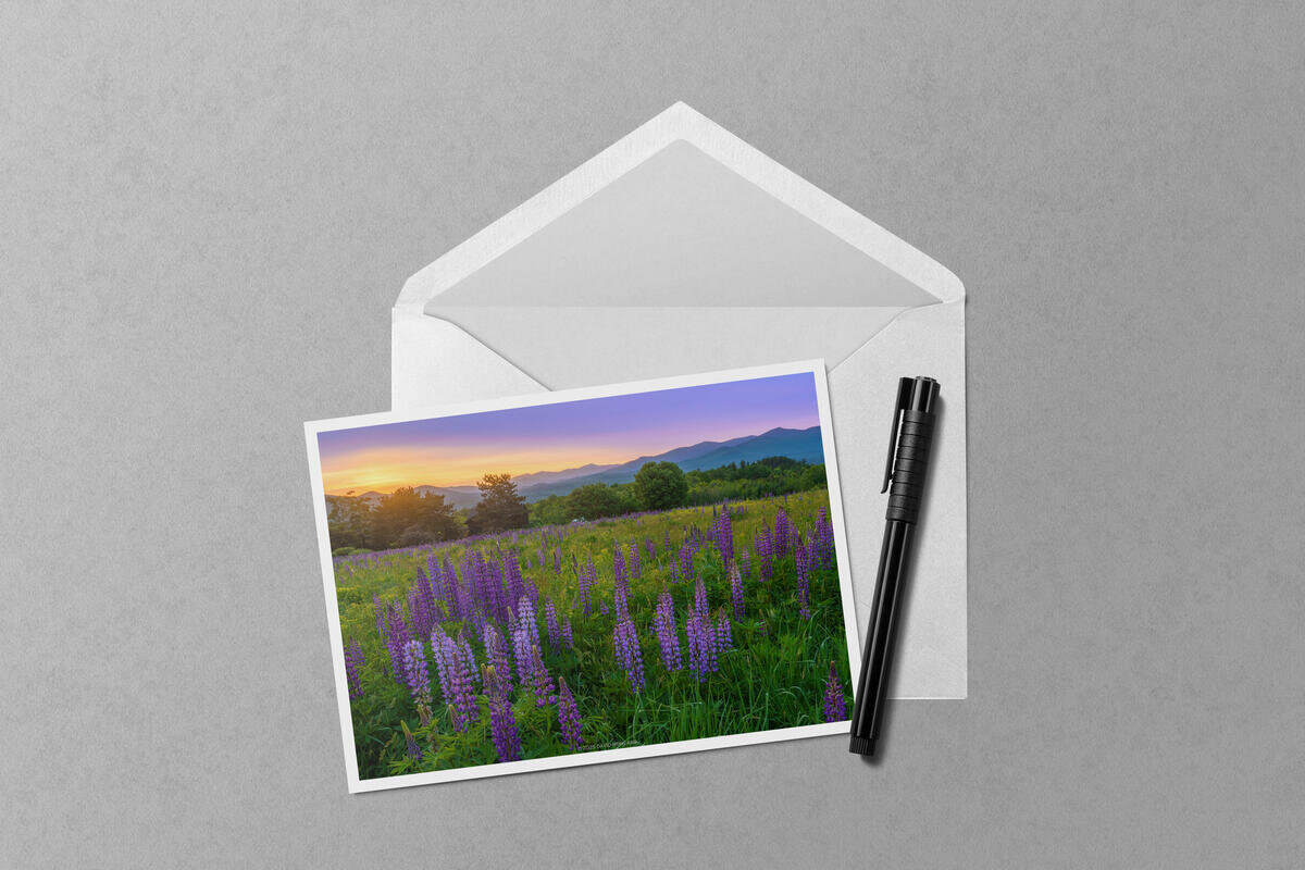 White Mountains Lupine Sunrise notecard mockup
