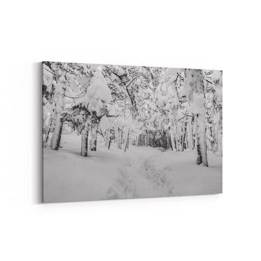 A black and white winter forest scene on the Webster-Jackson Trail, where a narrow footpath with faint boot tracks winds into a dense woodland of trees so heavily laden with snow that their branches droop dramatically under the weight, creating a hushed, enclosed tunnel effect.