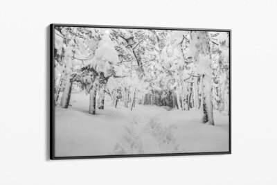 Framed canvas preview