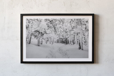 Framed print preview