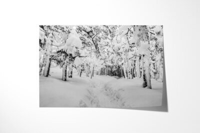 Fine art print preview