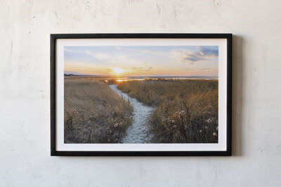 Framed print preview