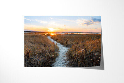 Fine art print preview