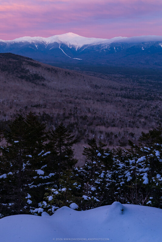 A winter sunset over Mount Washington shows snow-covered evergreen trees in the foreground, with the mountain's snow-capped peak rising majestically in the distance beneath a pink and purple twilight sky.