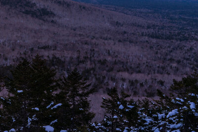 A winter sunset over Mount Washington shows snow-covered evergreen trees in the foreground, with the mountain's snow-capped peak rising majestically in the distance beneath a pink and purple twilight sky.