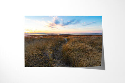 Fine art print preview