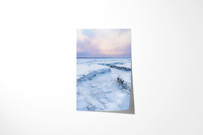 Fine art print preview